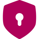 Privacy policy icon