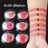 Elegant packaging of the Emelie Blushion palette, featuring a floral design