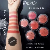 Flat lay of the 6 Shades Emelie Blushion palette, displaying a range of vibrant blush colors.